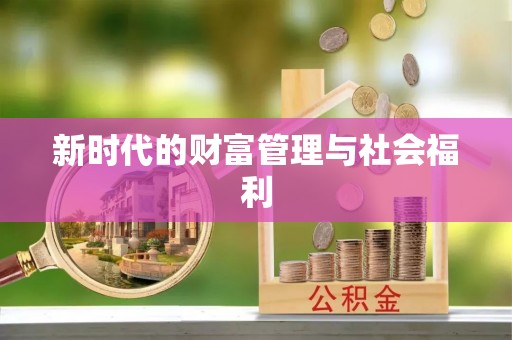 麻章新时代的财富管理与社会福利