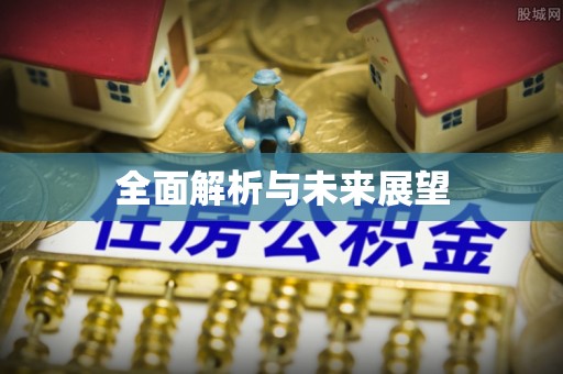 麻章全面解析与未来展望