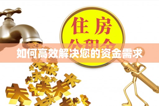 麻章如何高效解决您的资金需求